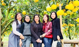 Khảo sát giới thiệu điểm du lịch cộng đồng, vùng cây ăn quả tại Bắc Ninh